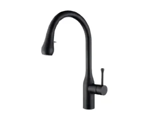 ברז מטבח נשלף גולף שחור מט