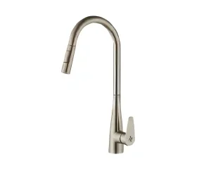 ברז נשלף למטבח דגם ברקן מוברש